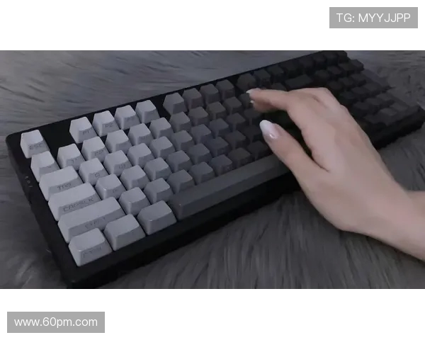 CSGO玩家必看机械键盘推荐助你提升游戏体验与操作精准度