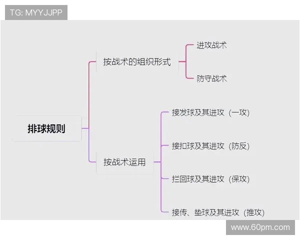 南京排球队在欧锦赛中的灵活战术与团队配合表现分析