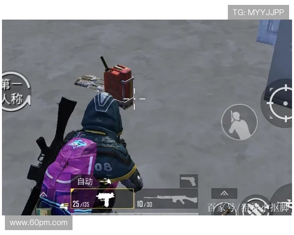 和平精英V5赛季区域防守策略分析与得失总结