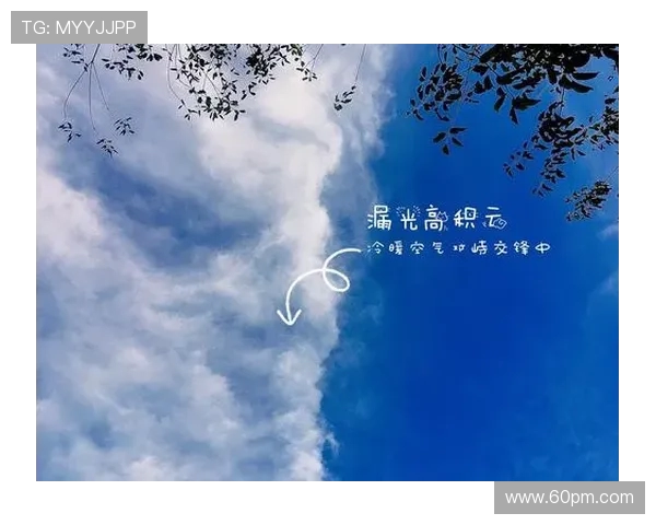 自由与天空的历史交锋探讨与反思之旅 自由与天空的历史交锋探讨与反思之旅