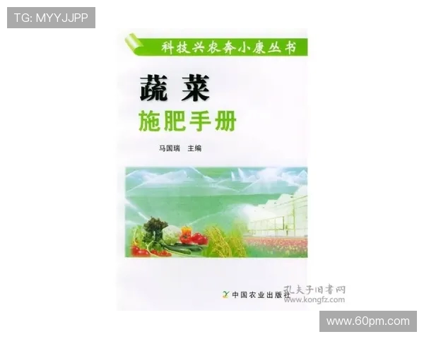 科学CSGO耐力训练方法提升游戏表现的全面指南 科学CSGO耐力训练方法提升游戏表现的全面指南